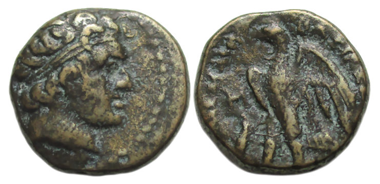 Ptolemy I Soter Chalkous Club.jpg