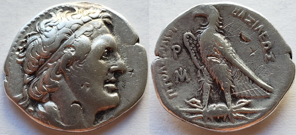 Ptolemy I soter Egypt tetradrachm.jpg