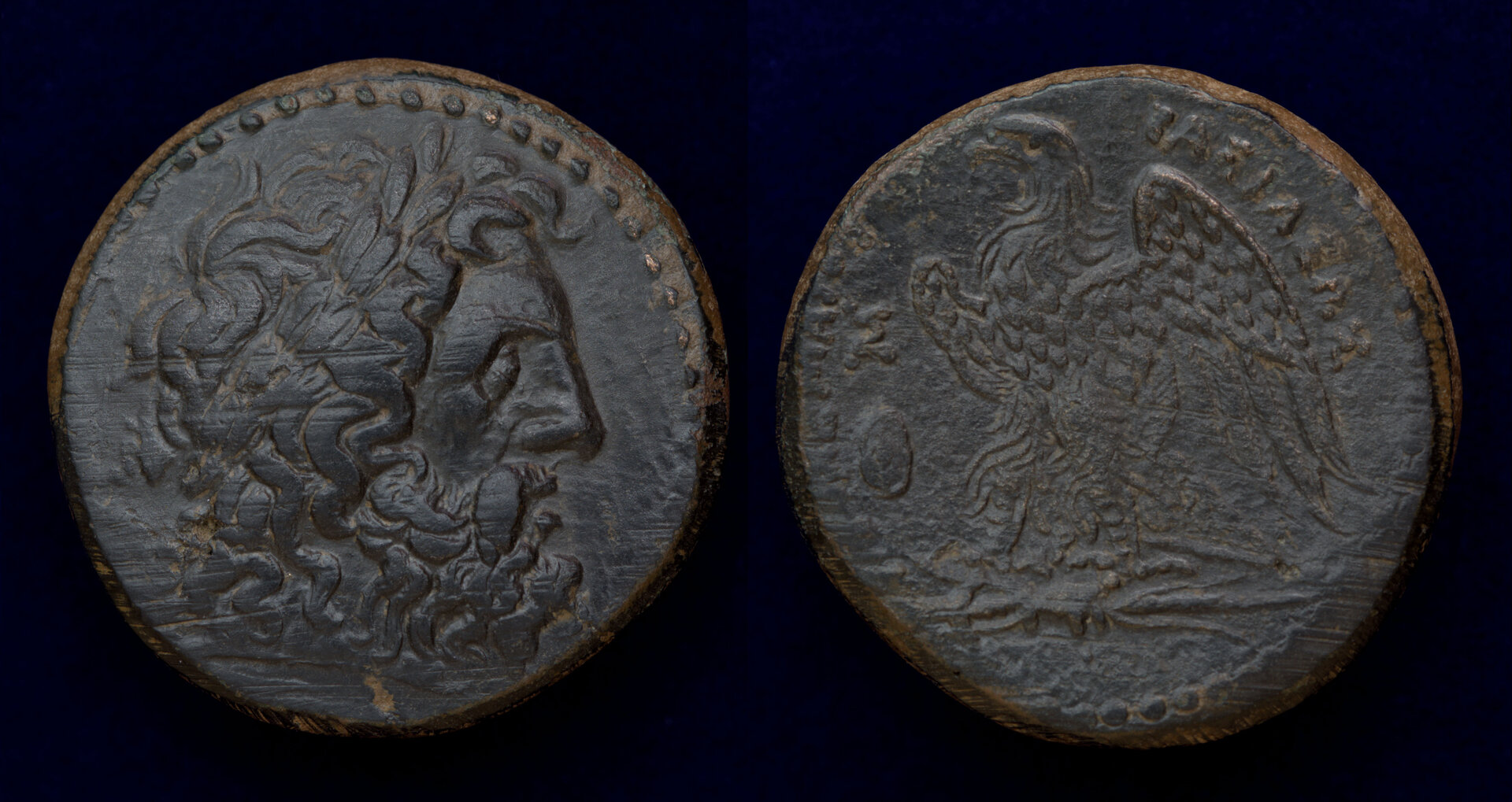 Ptolemy II AE Galatian Shield.jpg