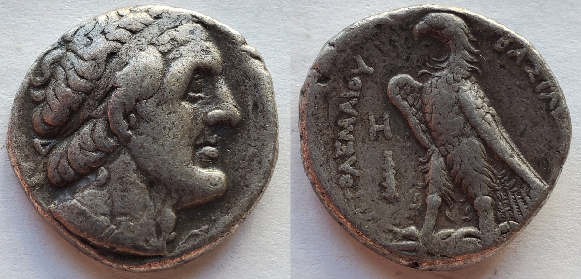 Ptolemy II AR tetradrachm Tyre.jpg