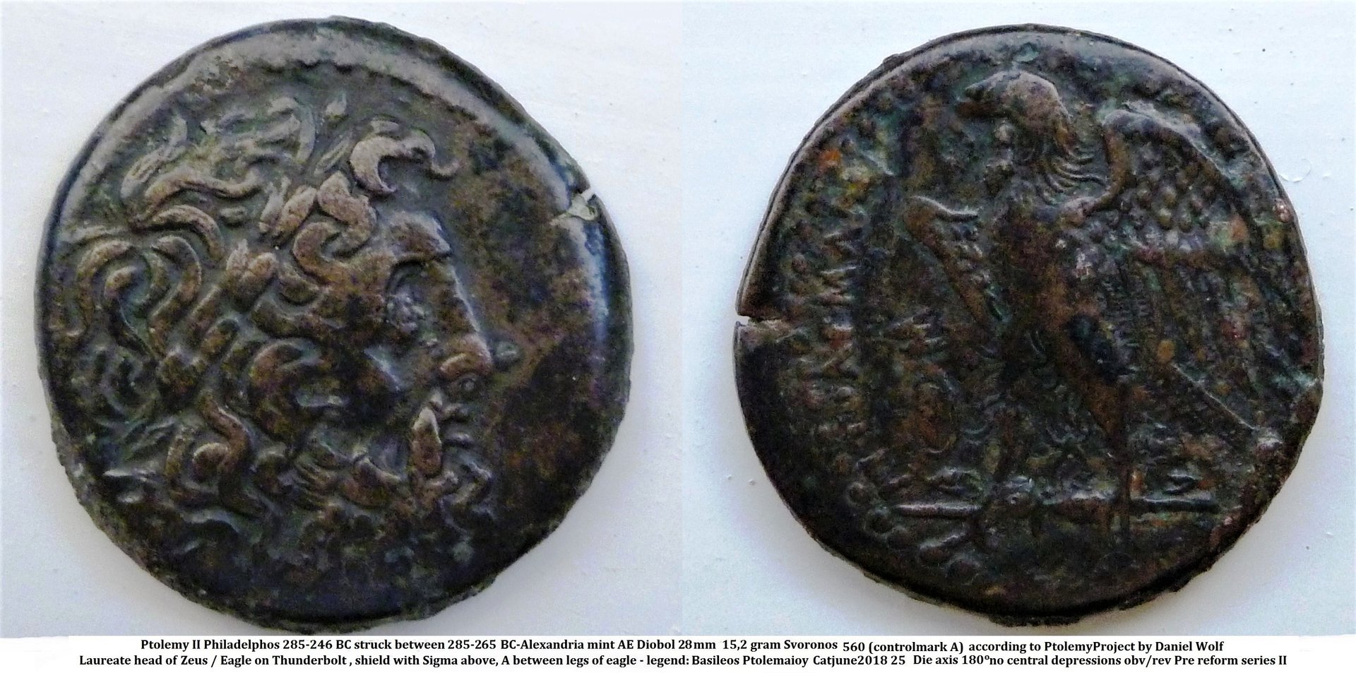 ptolemy II.JPG