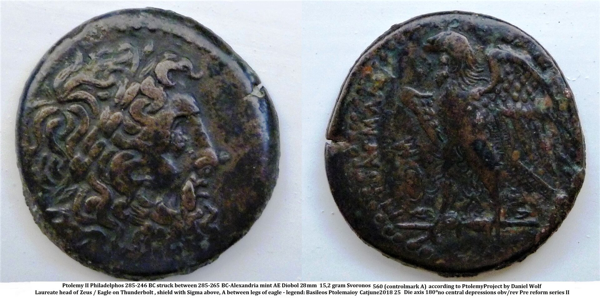 ptolemy II.JPG