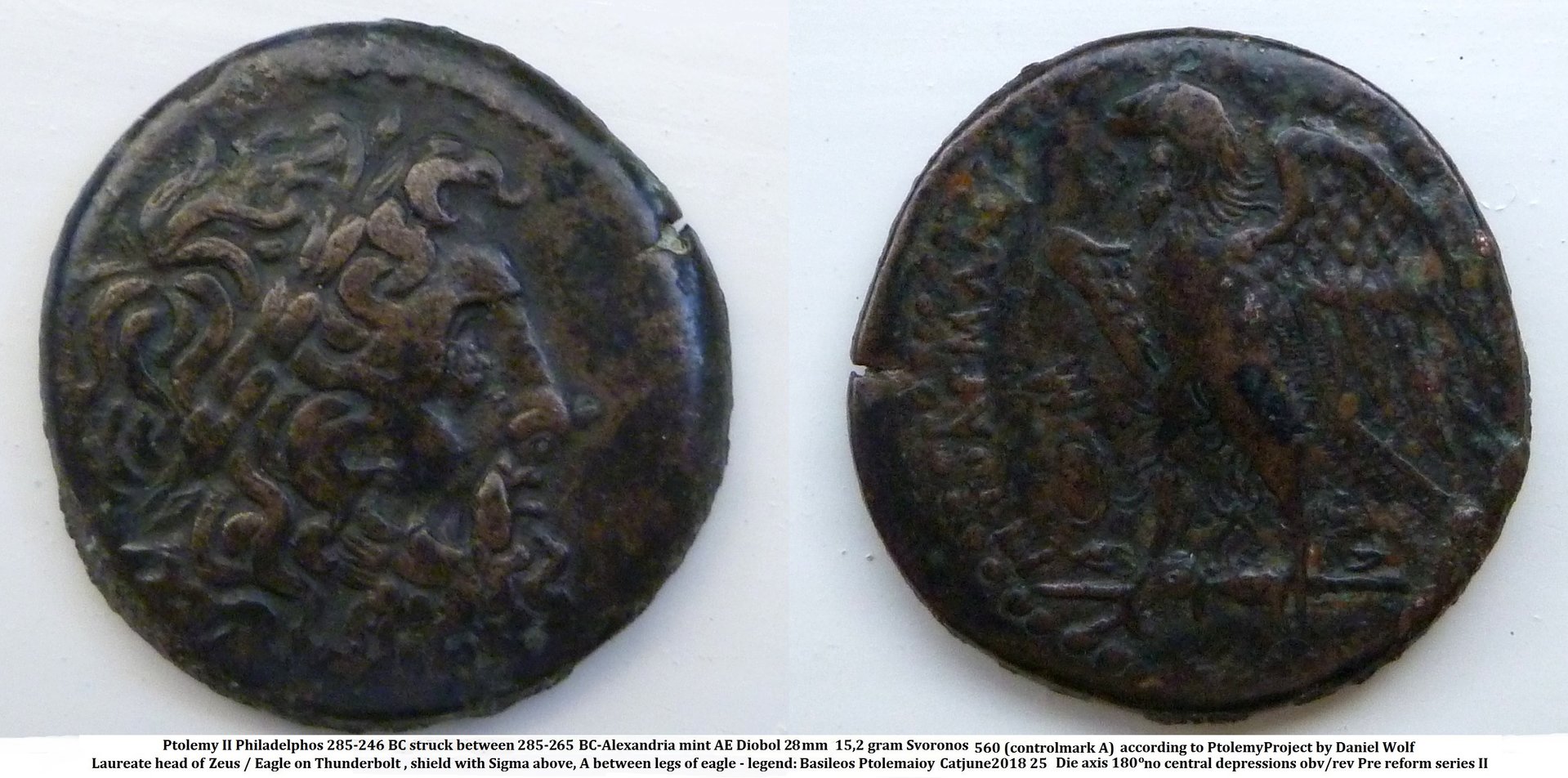 ptolemy II.JPG