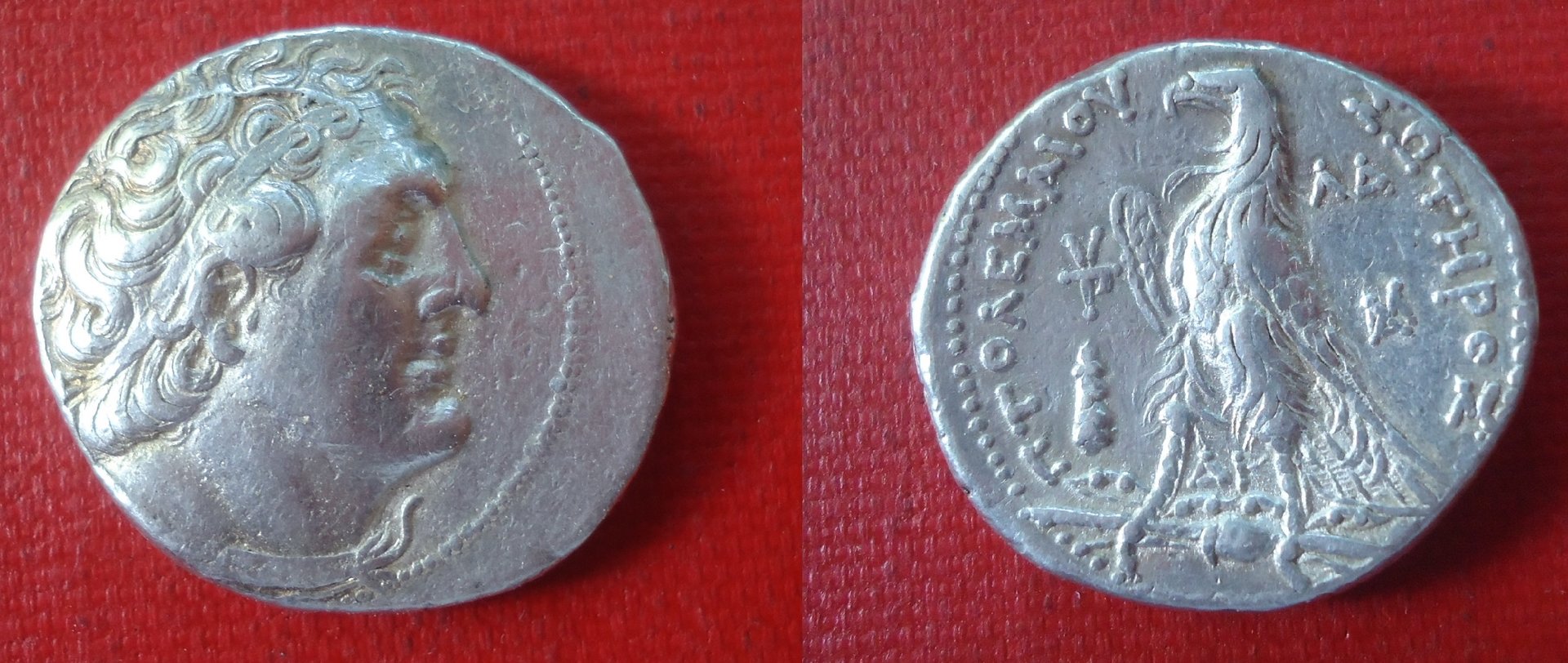 Ptolemy II tetradrachm 1995 (0).jpg