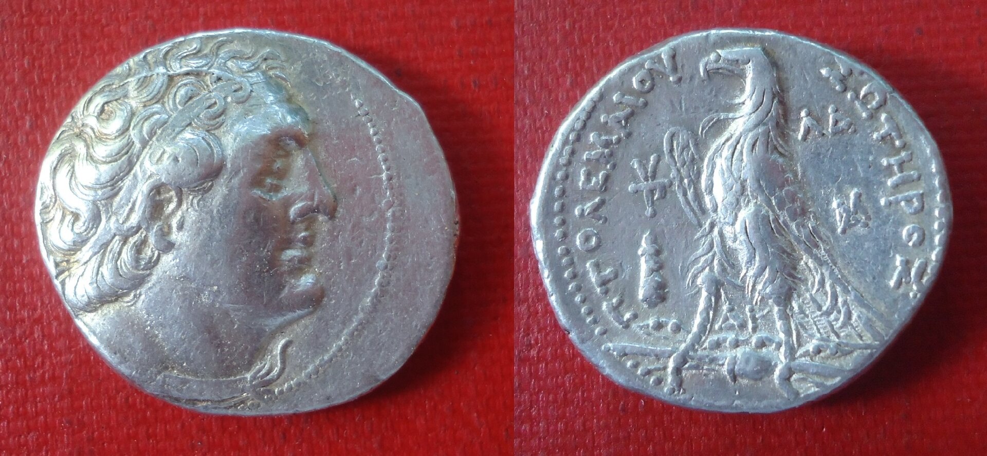 Ptolemy II tetradrachm 1995 (0a).jpg
