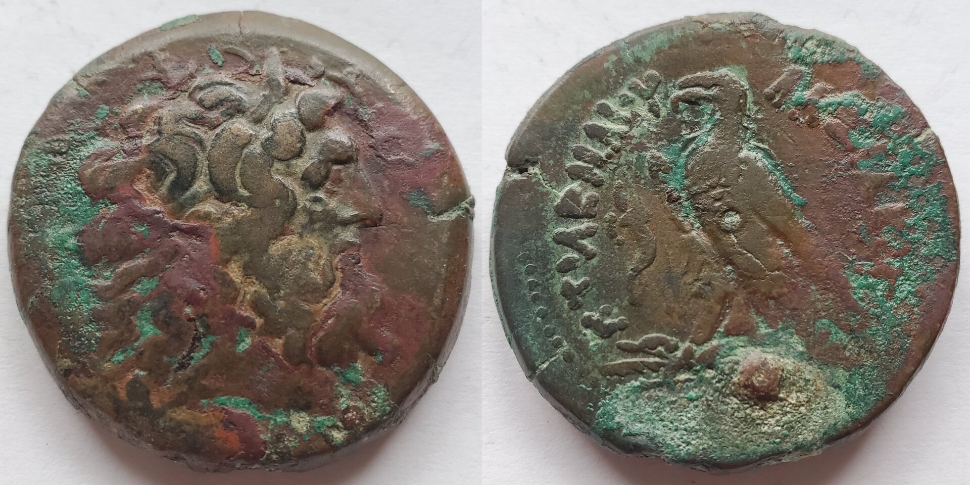 Ptolemy IV AE drachm 42mm.jpg