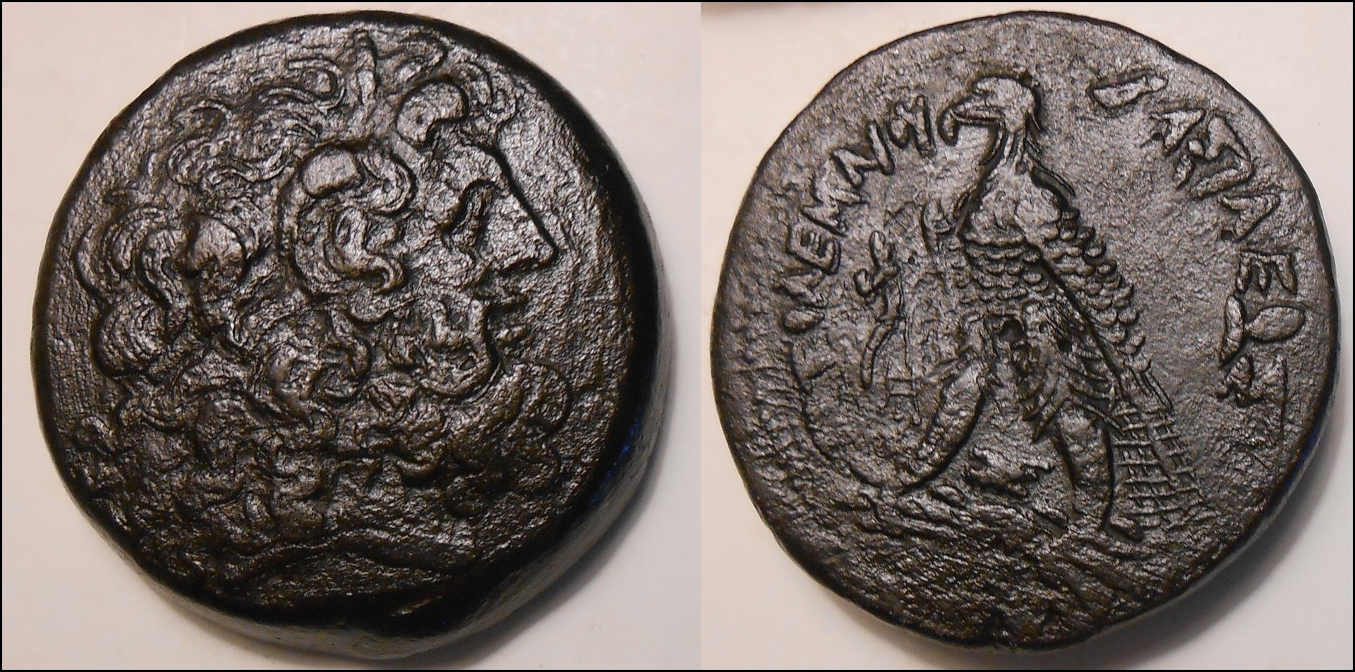 ptolemy IV obv-horz.jpg