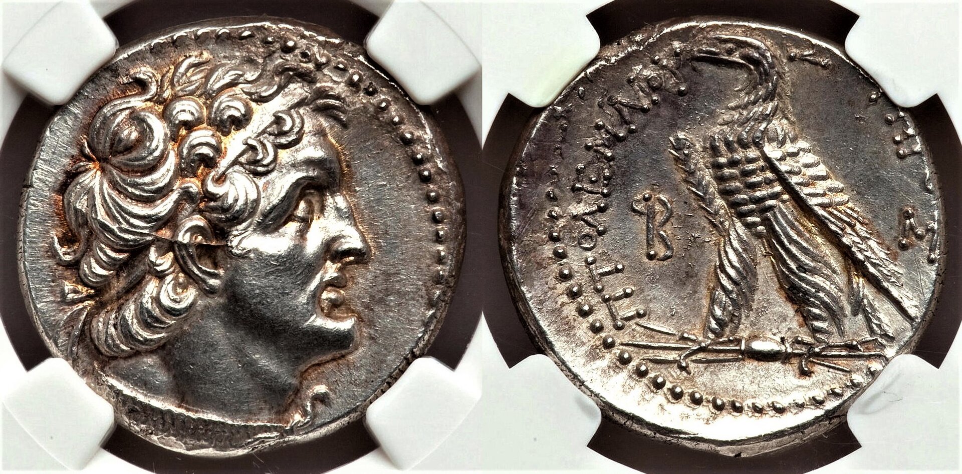 Ptolemy IV Tet (2).jpg