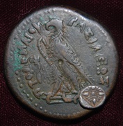 Ptolemy IV Tet to Iona-Miletos Obol Rev.JPG