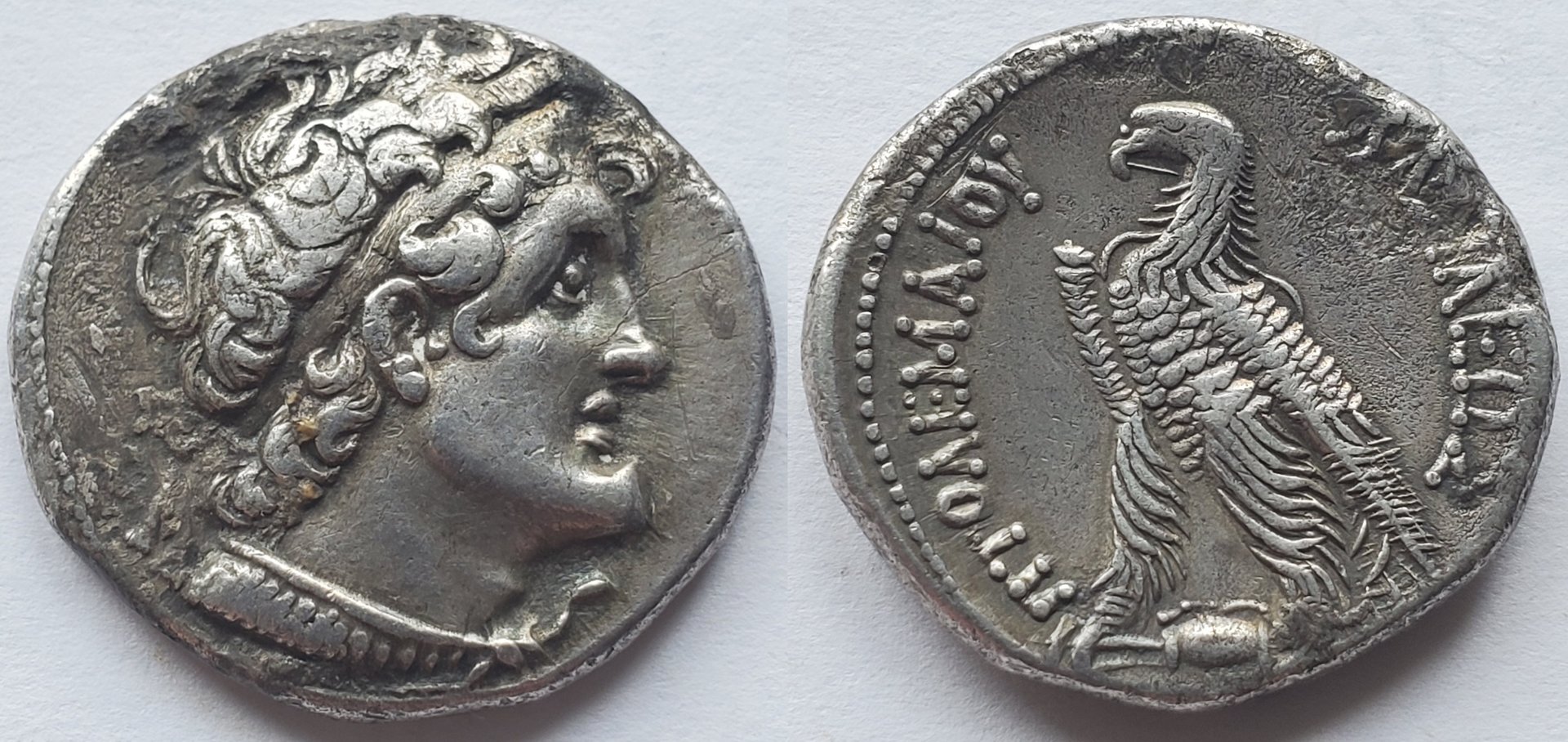 Ptolemy V AR tetradrachm.jpg