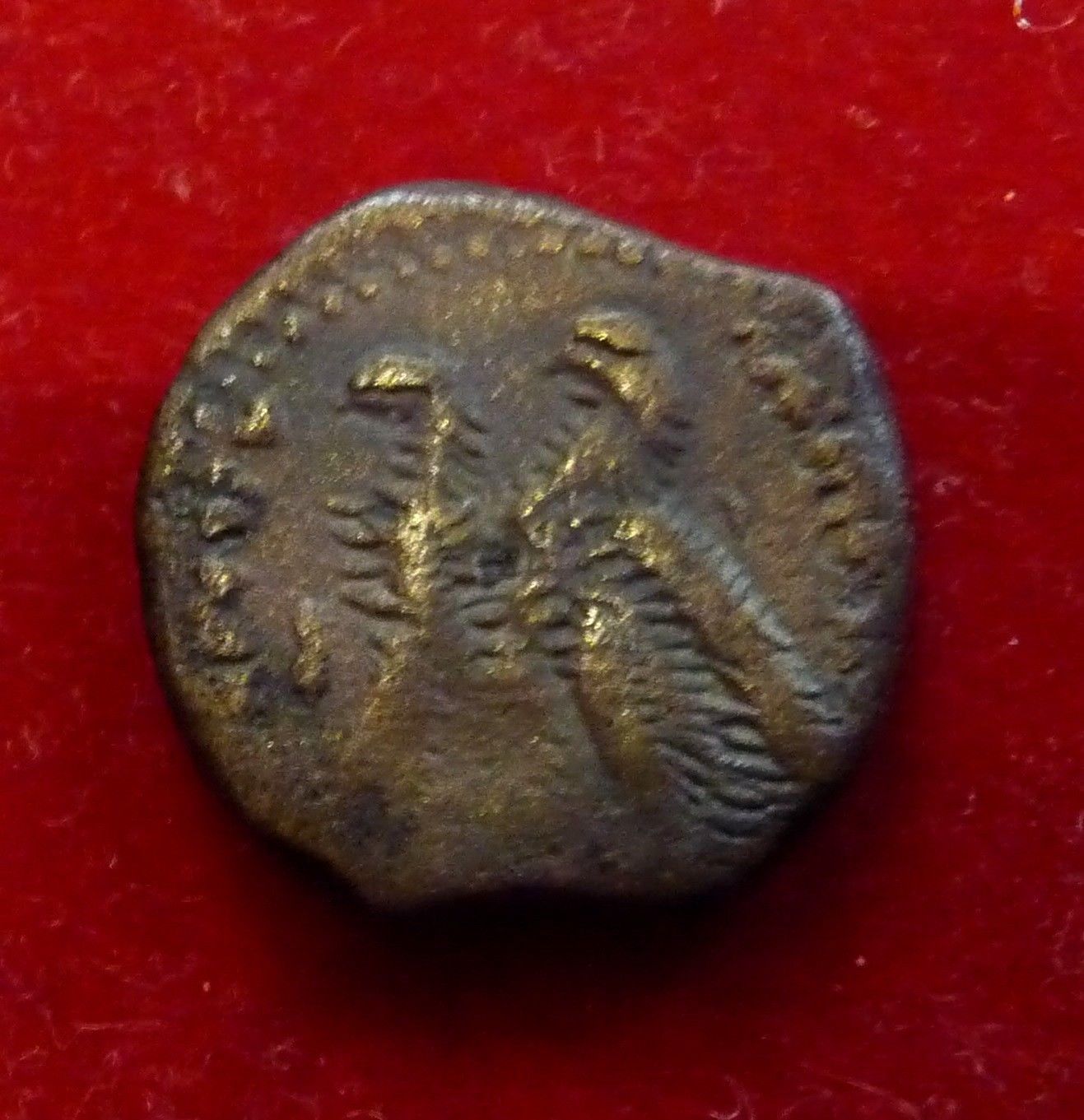 ptolemy VI  2 eagles s-l1600.jpg