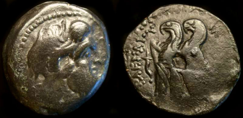 Ptolemy VI.jpg