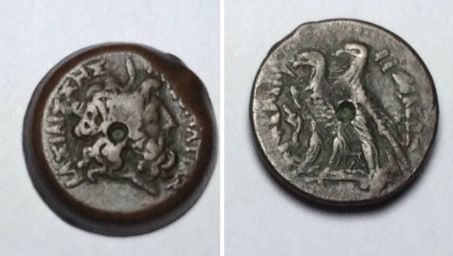 Ptolemy VI.JPG