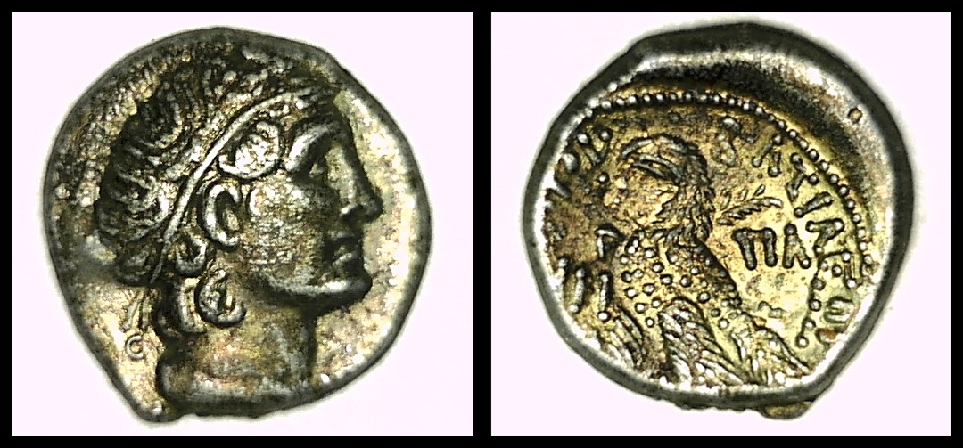 Ptolemy VI.jpg