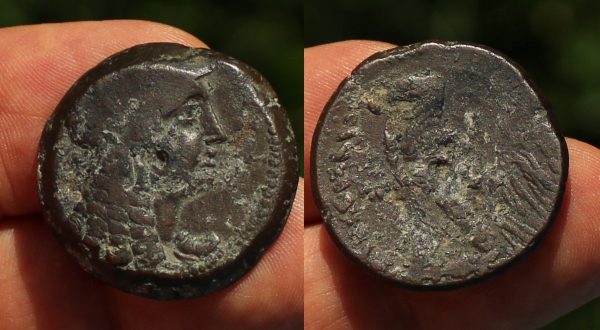Ptolemy-VI.jpg