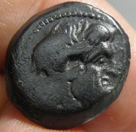 Ptolemy VI OBV.jpg