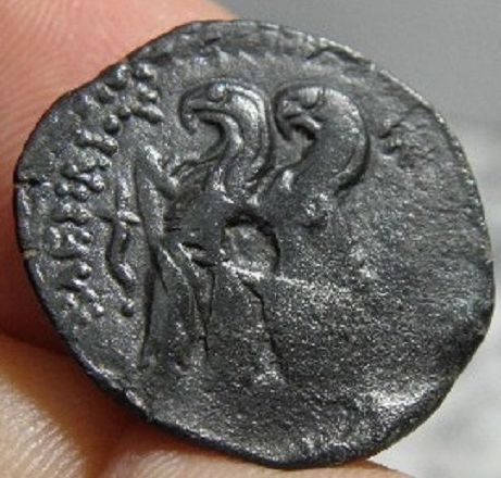Ptolemy VI REV.jpg