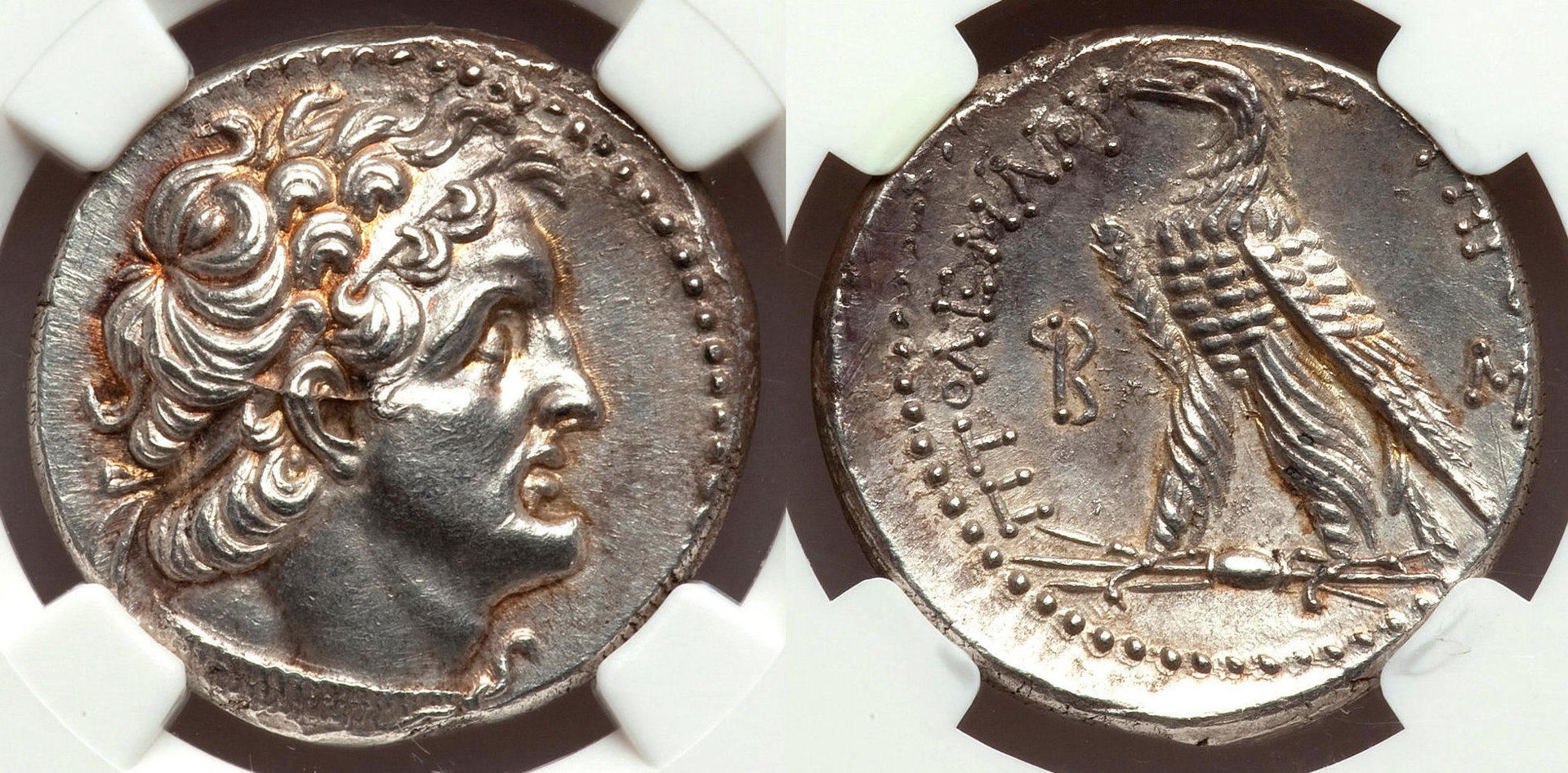 Ptolemy VI Tet.jpg