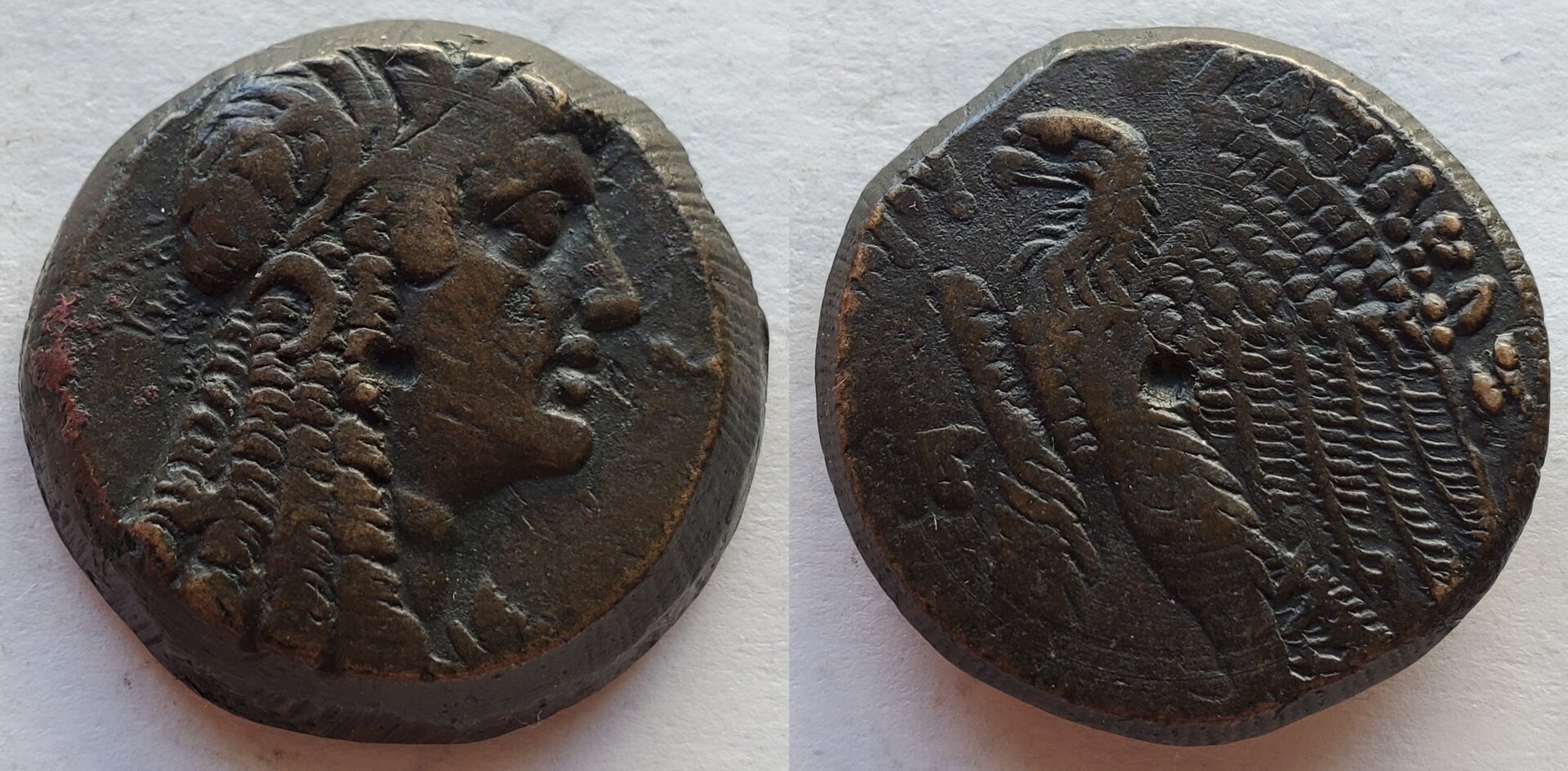Ptolemy VI - VIII AE28 Isis bust.jpg