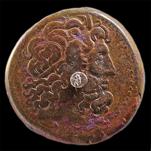 Ptolemy48Monkey5_edited-1.jpg