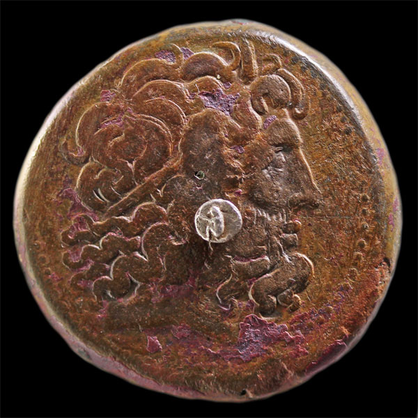 Ptolemy48Monkey5Med.jpg