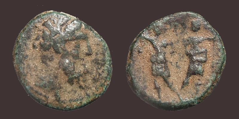 PtolemyChalkis.jpg