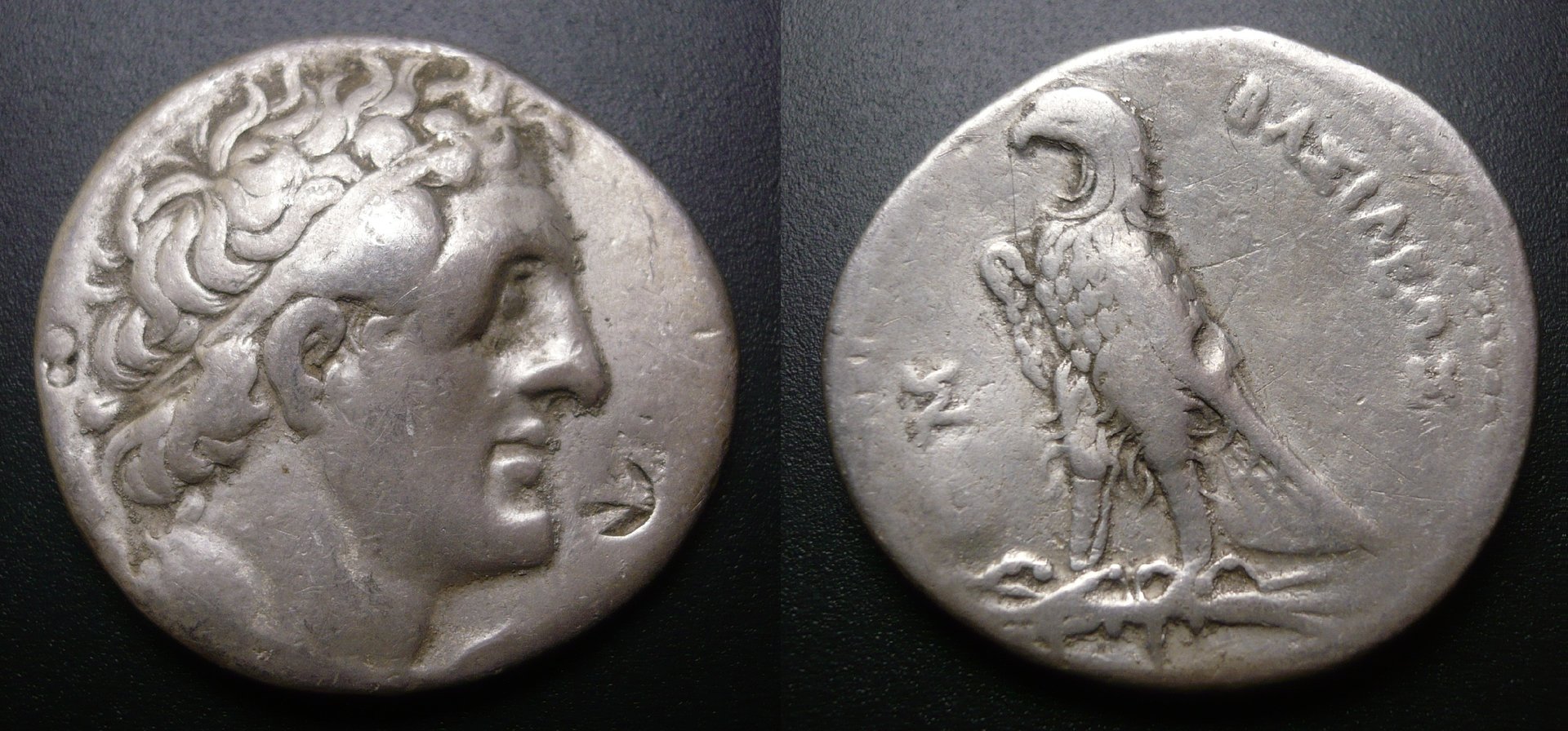ptolemyii.jpg