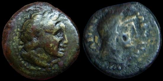 PtolemyIIIcyrene2.jpg