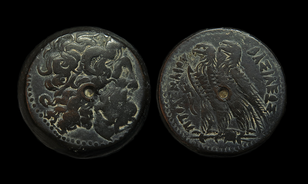 PtolemyVI-VIII-AE28-Sv1424.jpg