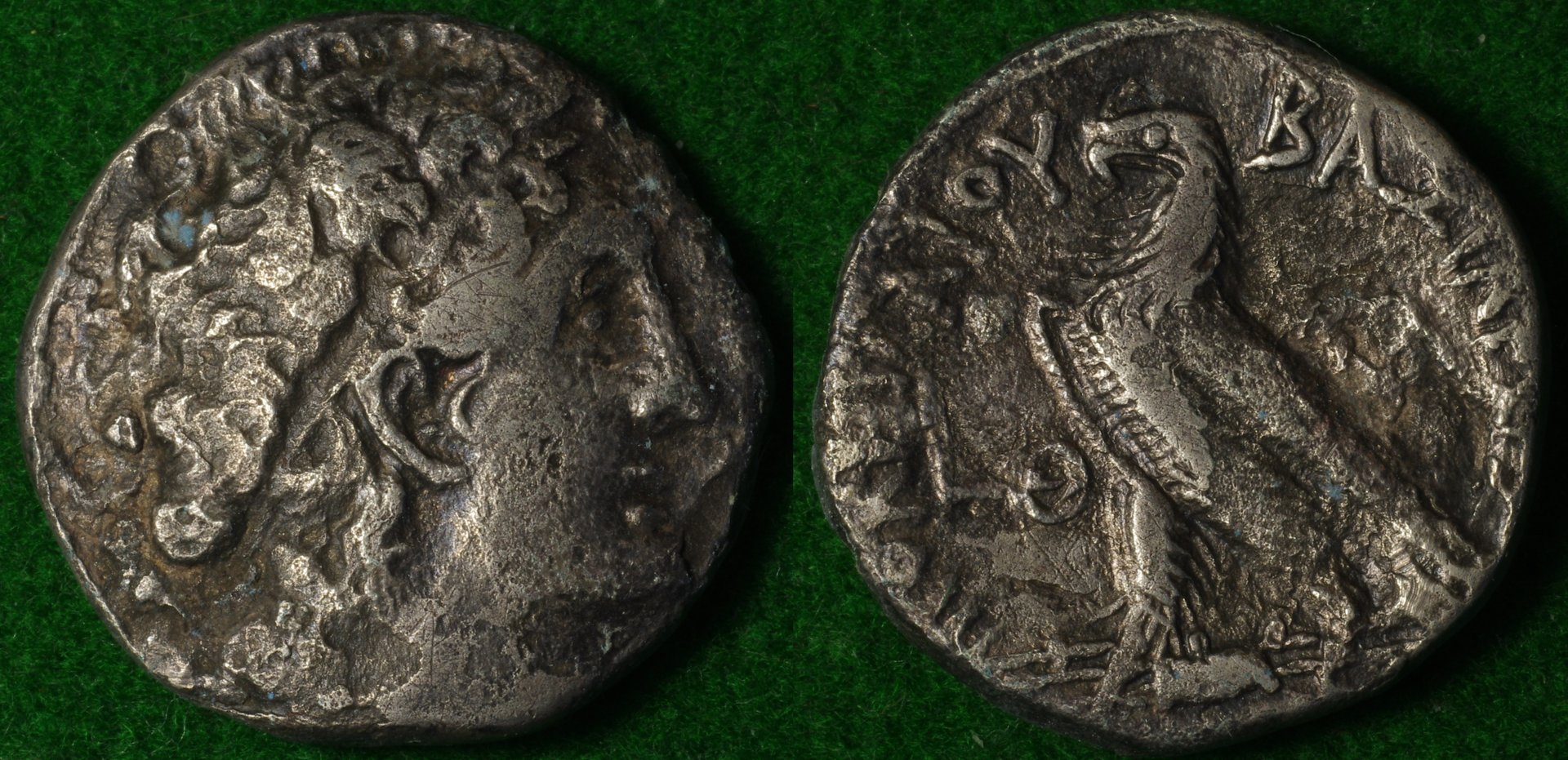 Ptolomy II 3-horz.jpg