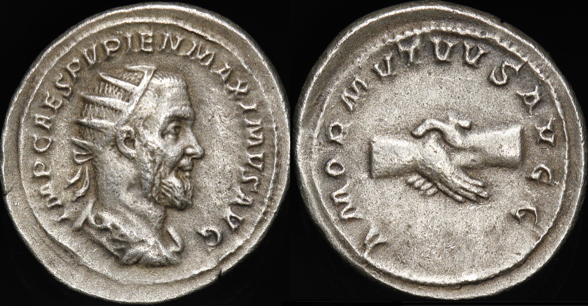 pu.jpg