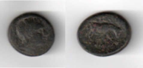 Publius questor.png