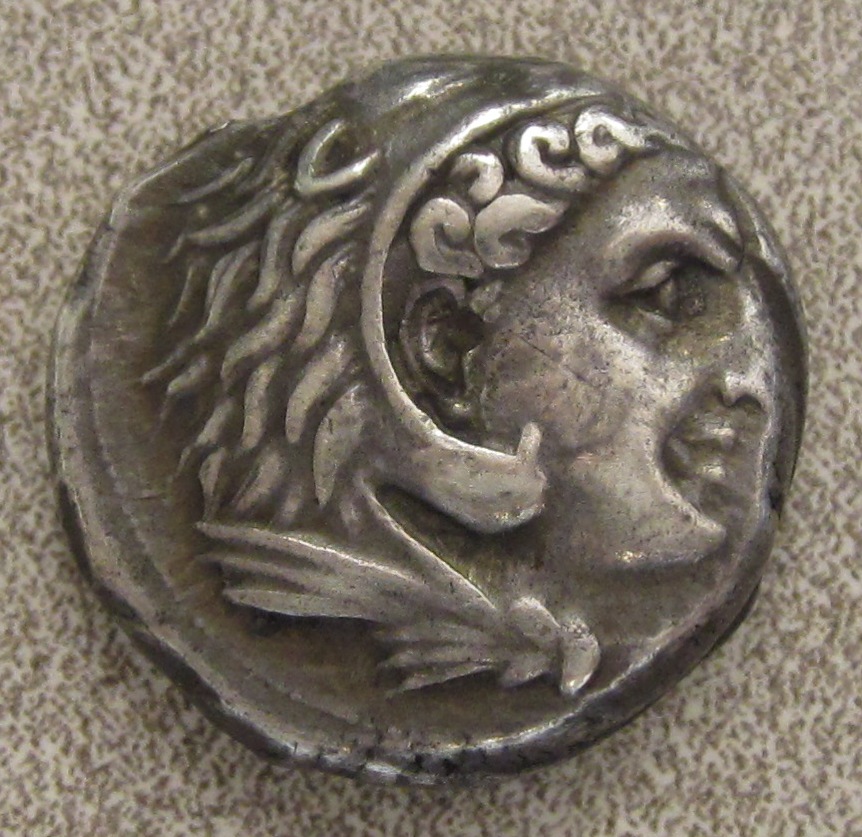 Punic Horse and Palm Obv.jpg