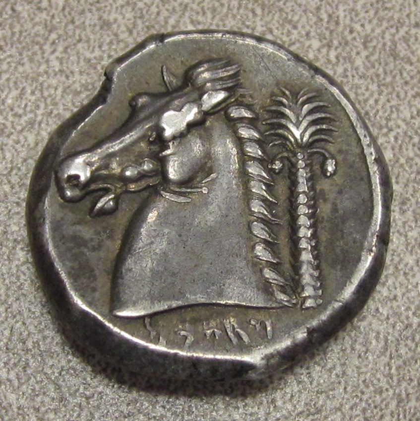 Punic Horse and Palm Rev.jpg