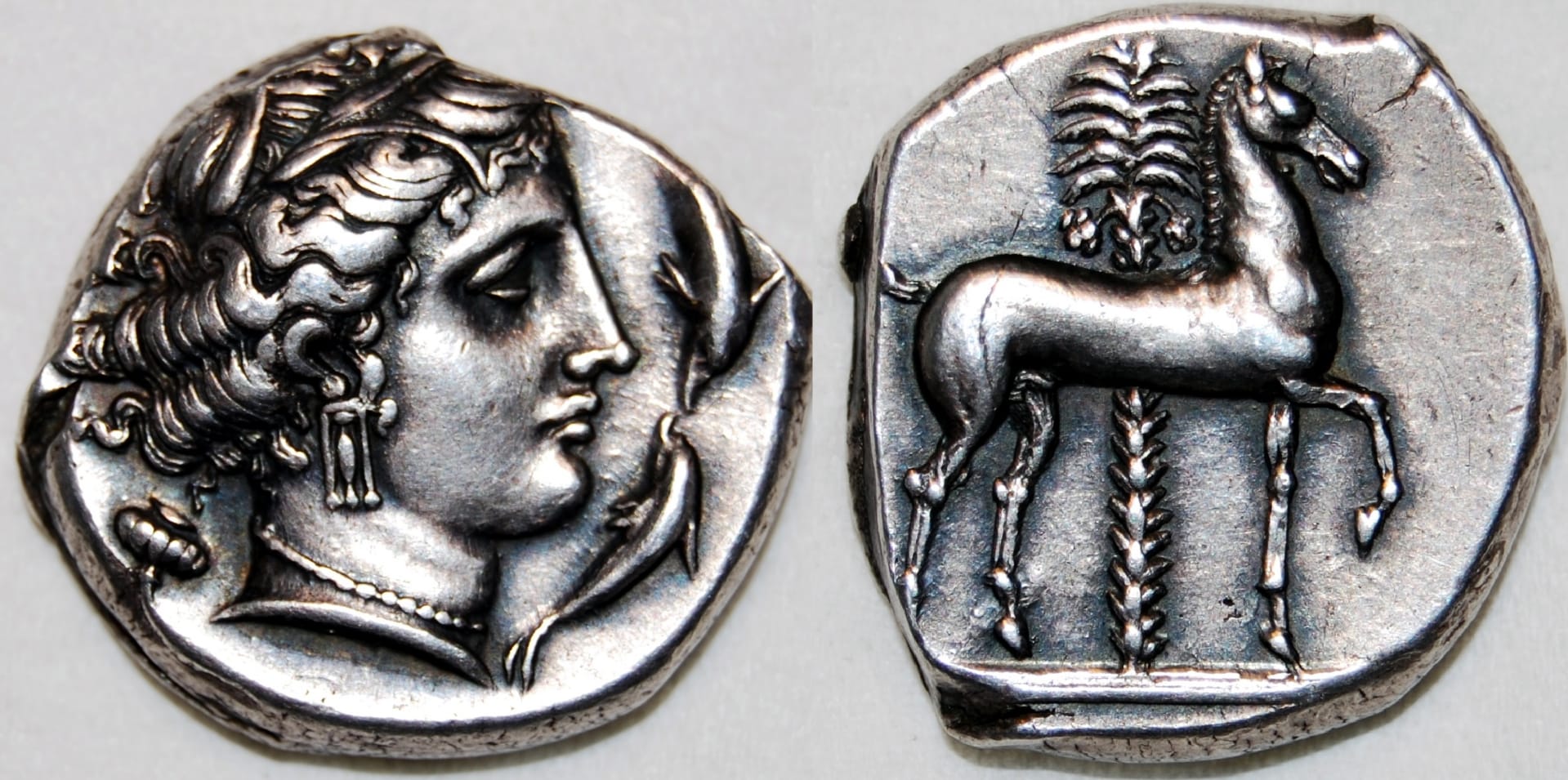 Punic.jpg