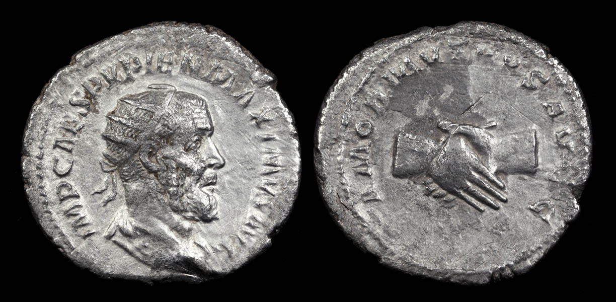 pupiant01-310-sm.jpg