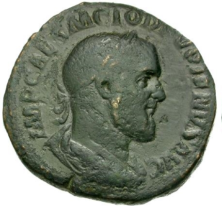 pupienus(2).jpg