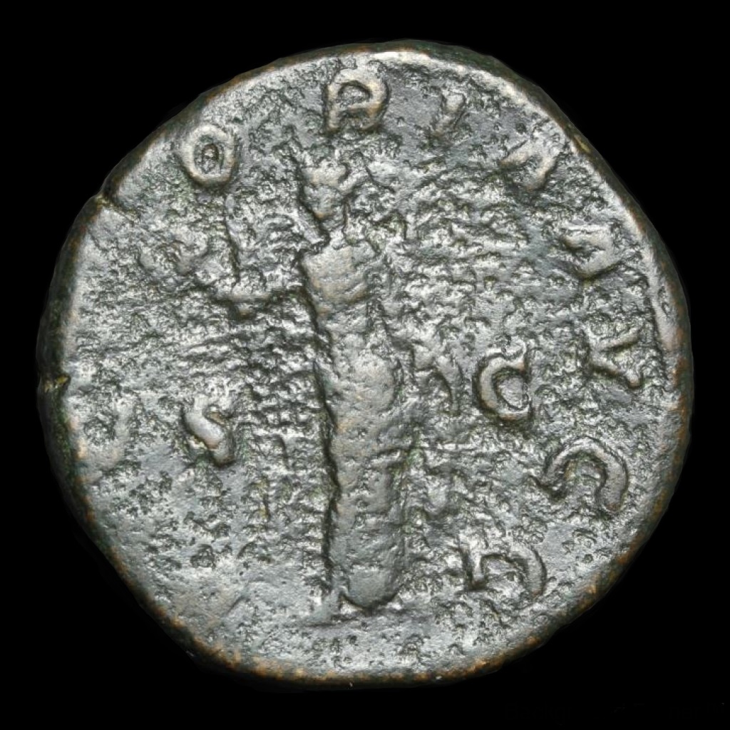 pupienus 20160060 rev.jpg