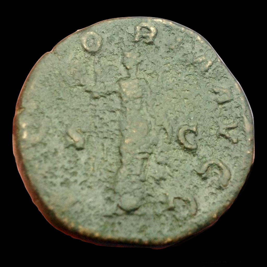 pupienus rev_burned.jpg