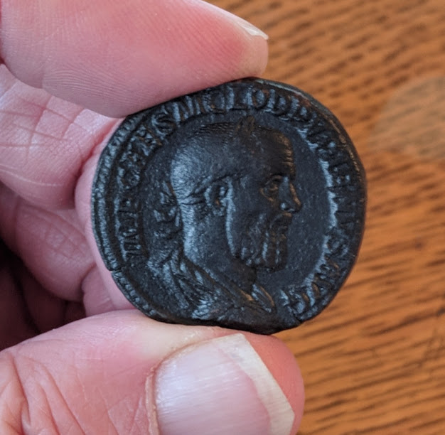pupienus1.jpg