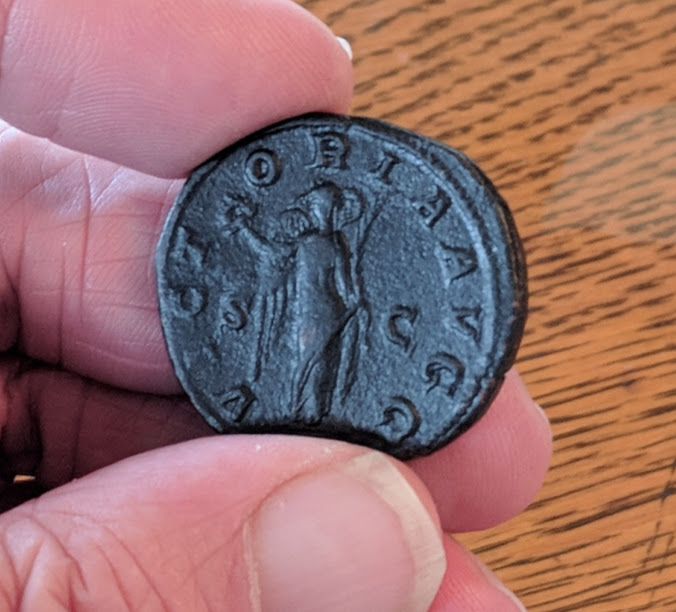pupienus2.jpg