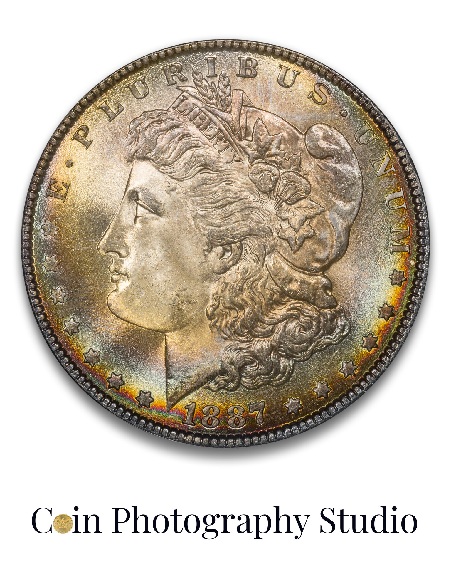 Puzzle 1-1887 Morgan Dollar.jpg