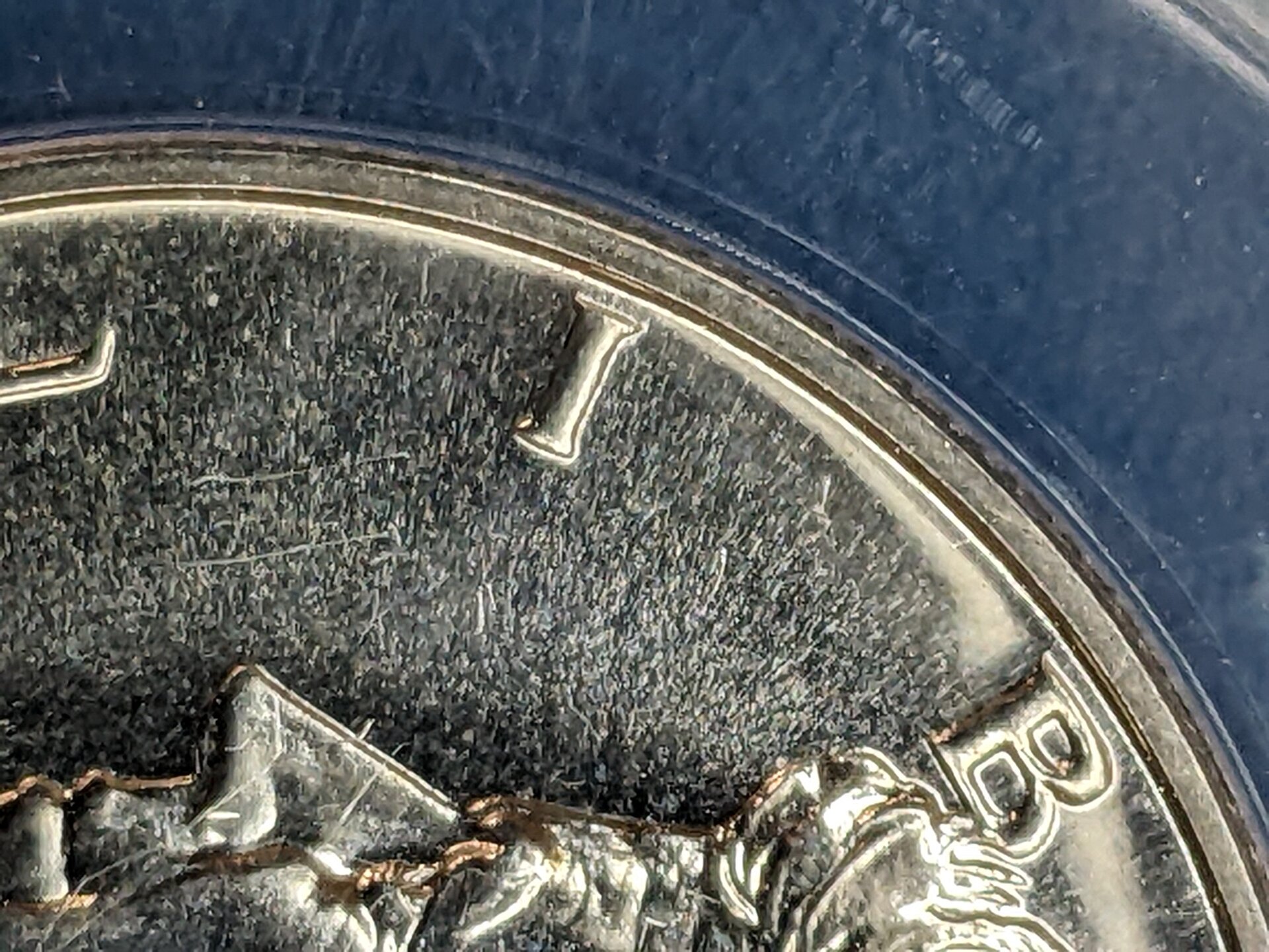 PXL_20220826_034959257.jpg