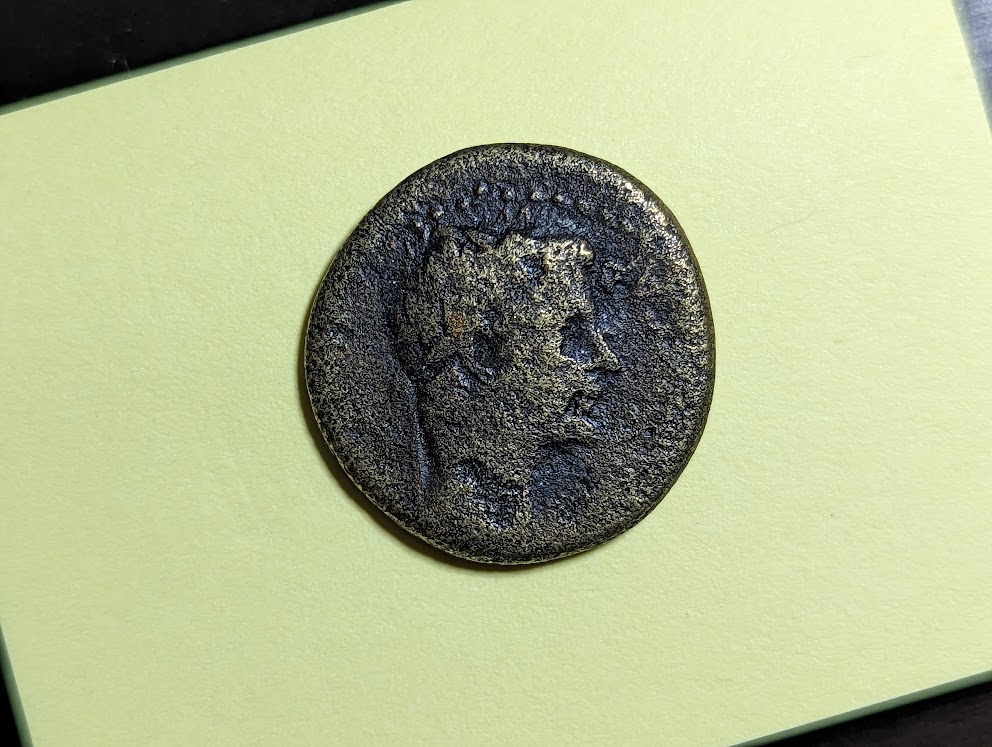 PXL_20230328_221853490.jpg