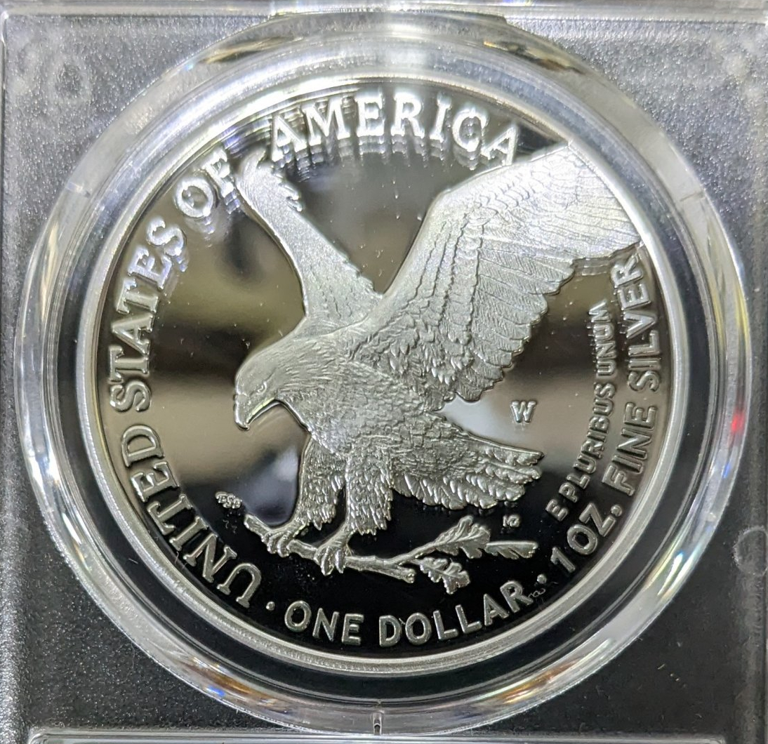 PXL_20230424_162859420.jpg