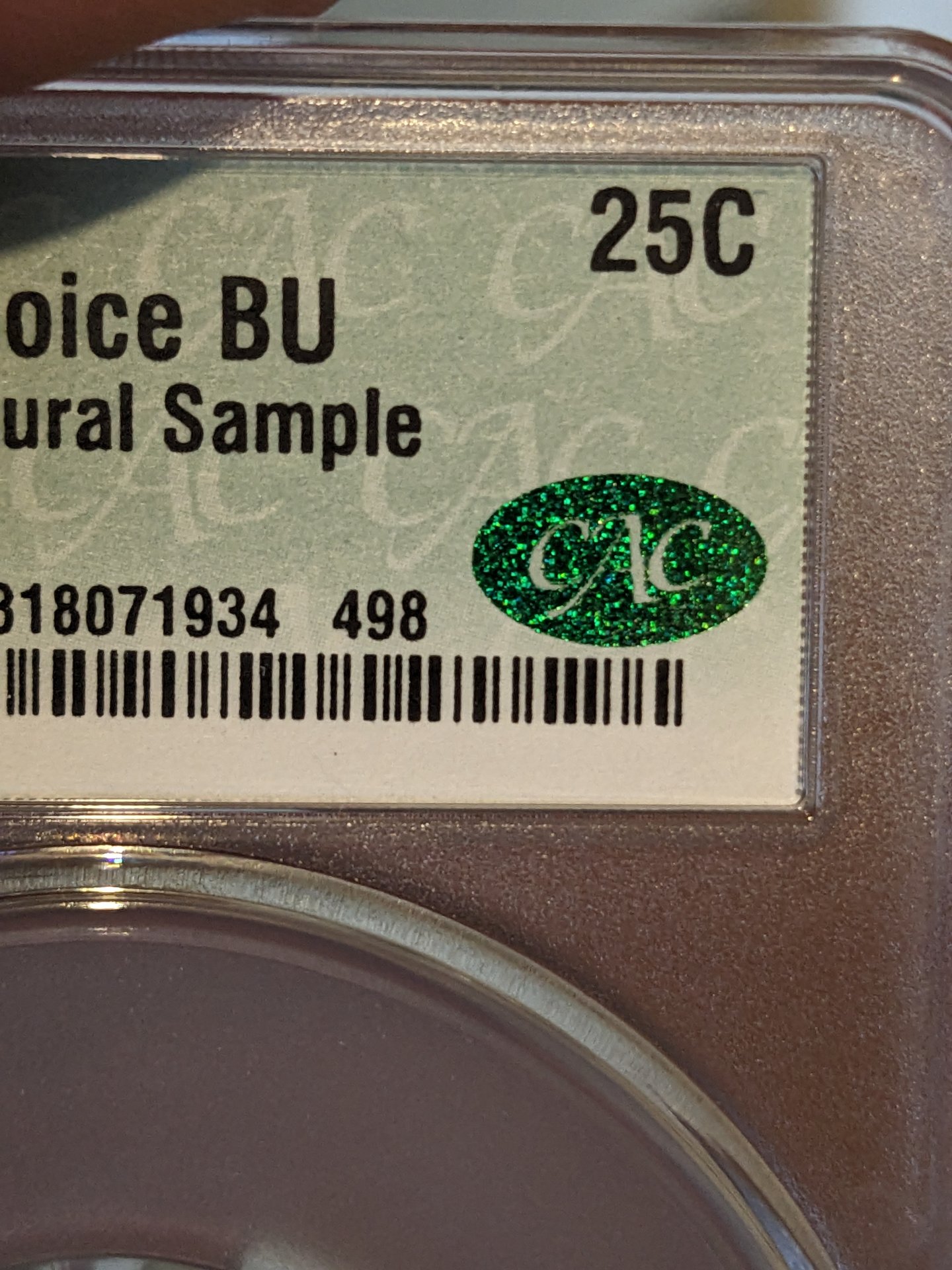PXL_20230804_221605532.jpg