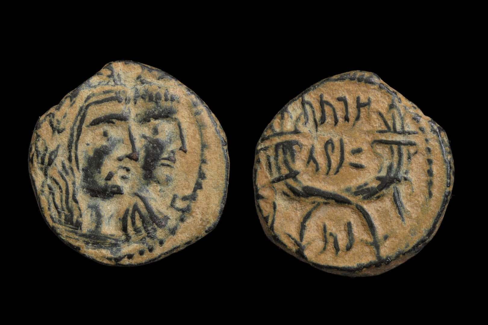 pz2779nt3476.jpg