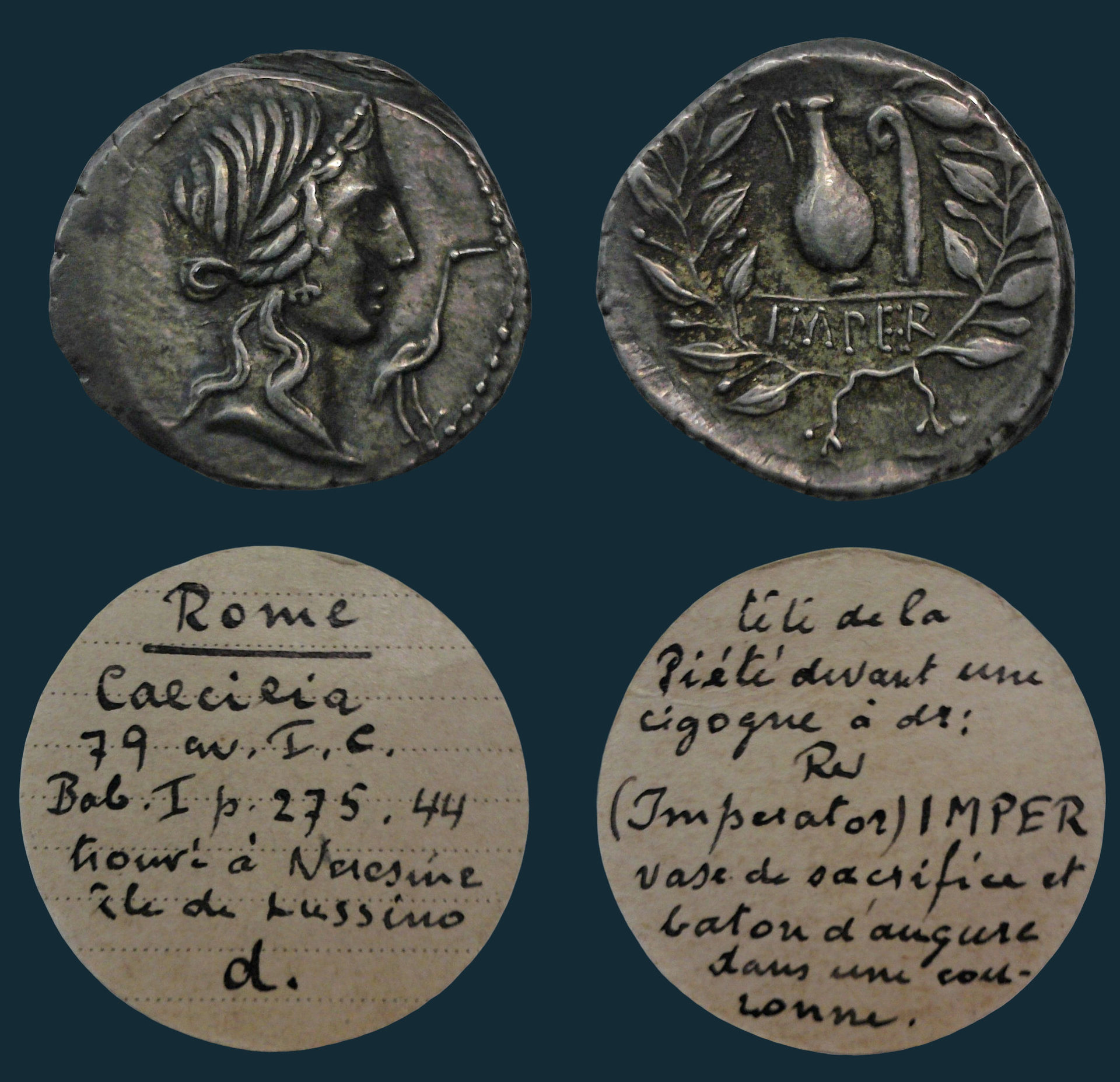 Q C Metellus Pius 81AD Blu.jpg