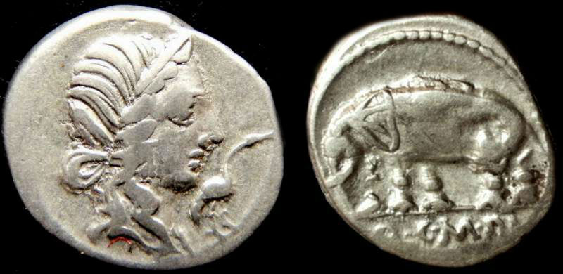Q. CAECILIUS METELLUS PIUS 2.jpg