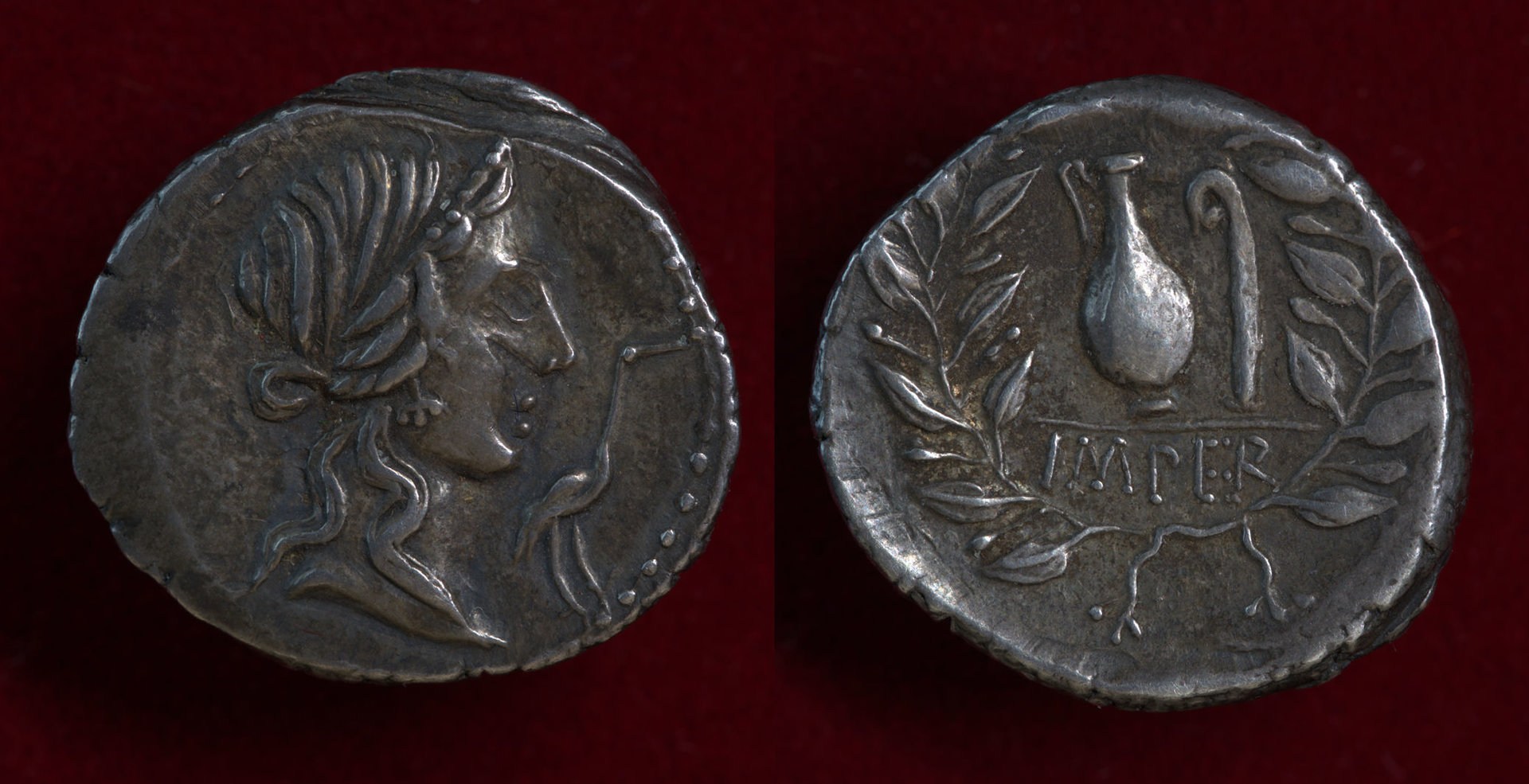 Q. Caecilius Metellus Pius.jpg